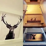 The Deer * Durbuy