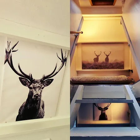 The Deer * Дюрбюи