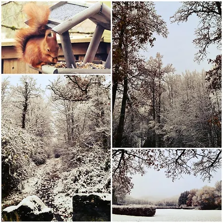 The Deer Domek alpejski *